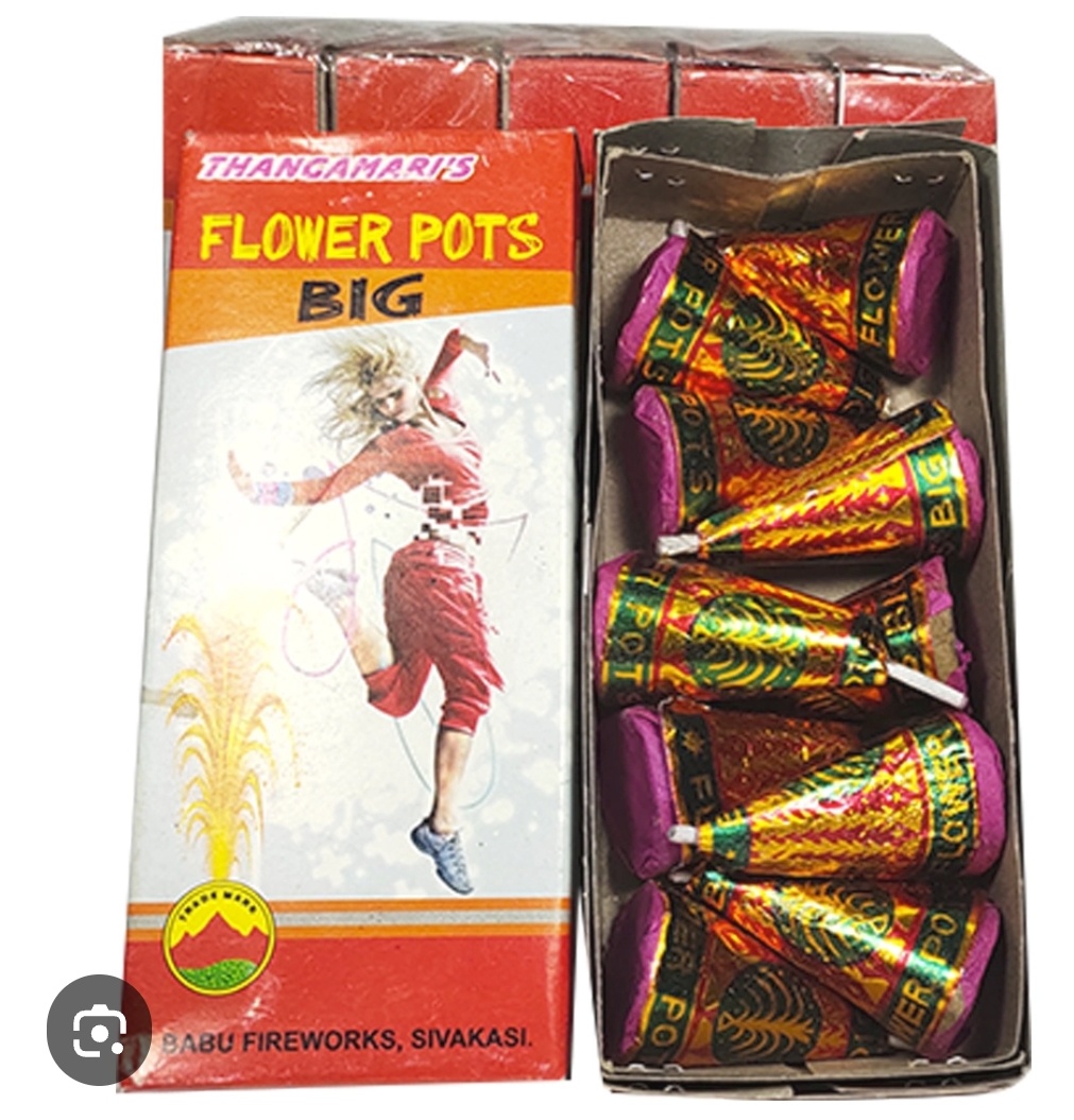 FLOWER POT BIG